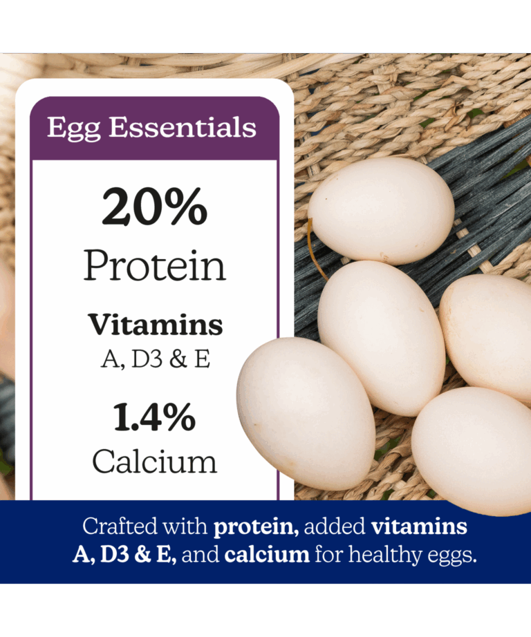 nutrena naturewise all flock pellet egg essentials with vitamins and calcium