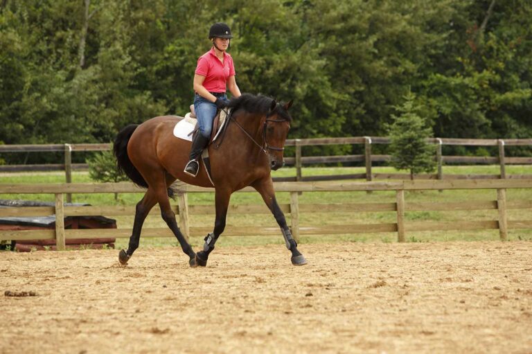 Woman in pink shirt riding horse