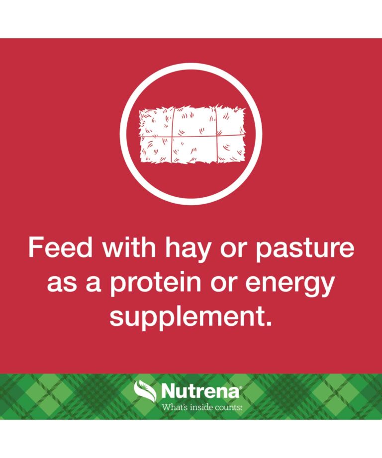 feed with pasture as protein supplement