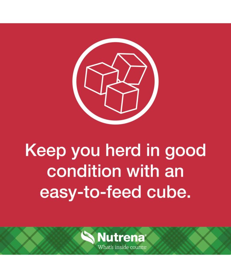 keep your herd in good condition with an easy to feed cube
