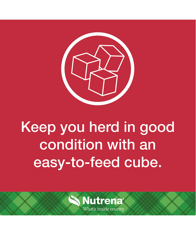 keep your herd in good condition with an easy to feed cube