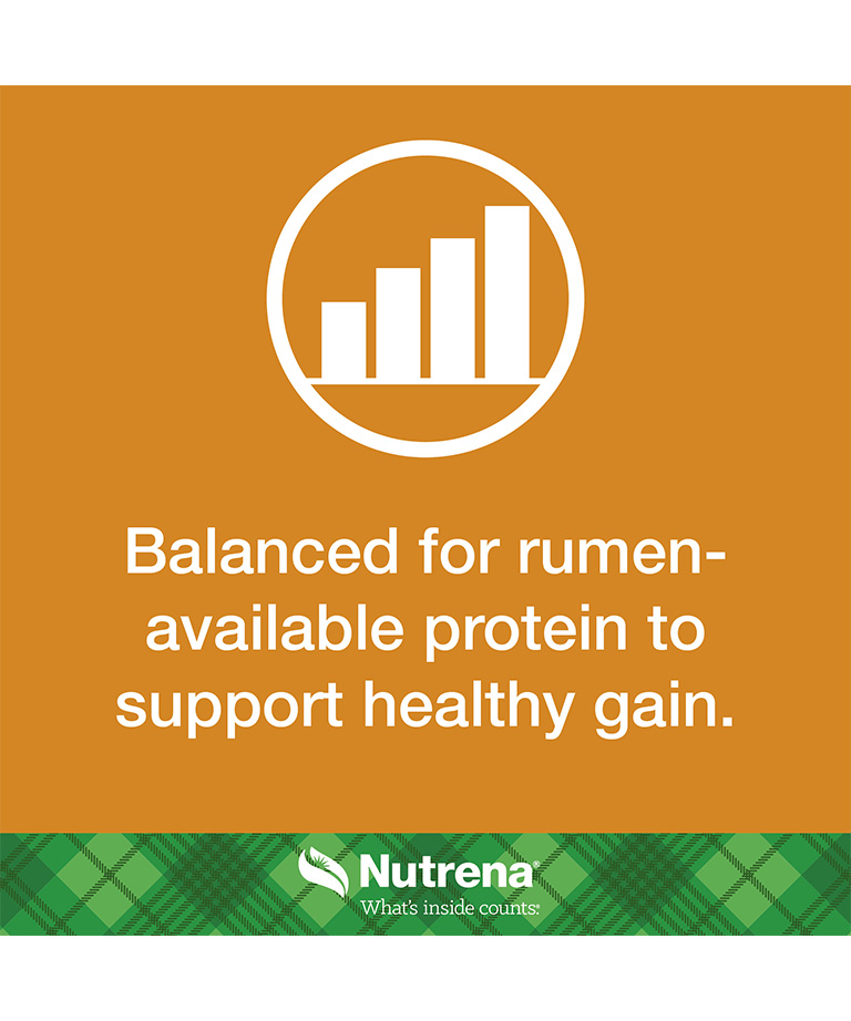 balanced for rumen to support healthy gain