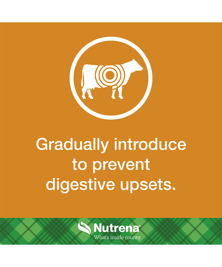 gradually introduce to prevent digestive upset