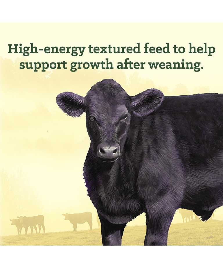 high energy textured feed to help support growth