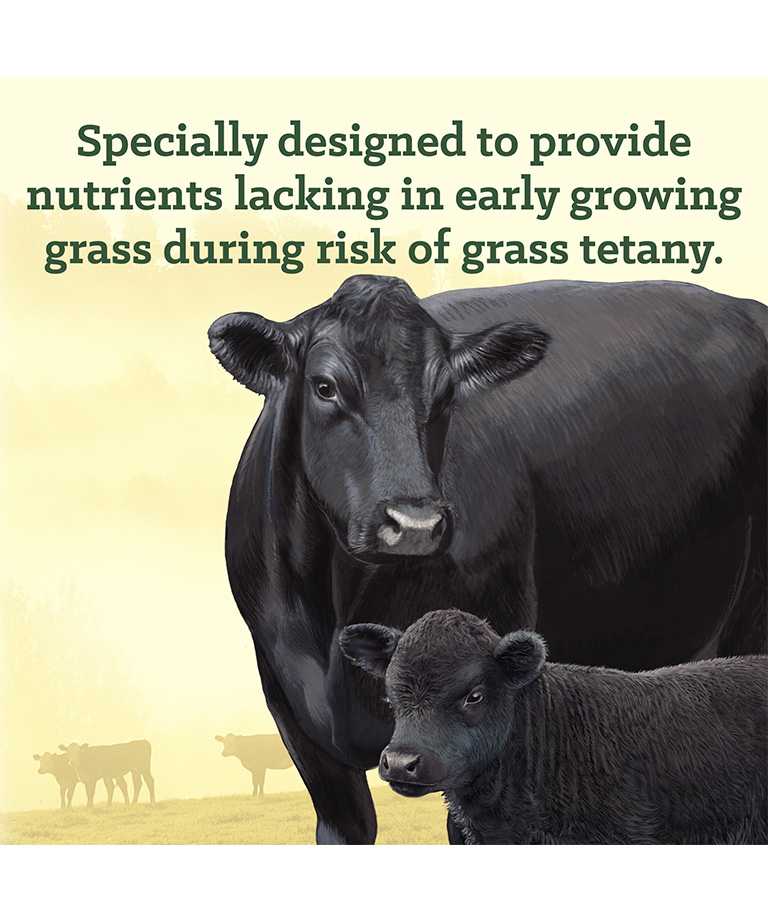 provide nutrients lacking in early growing grass