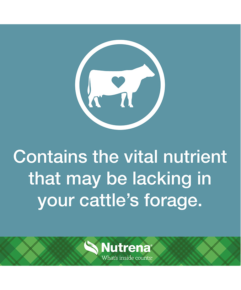 contains vital nutrients missing from forage