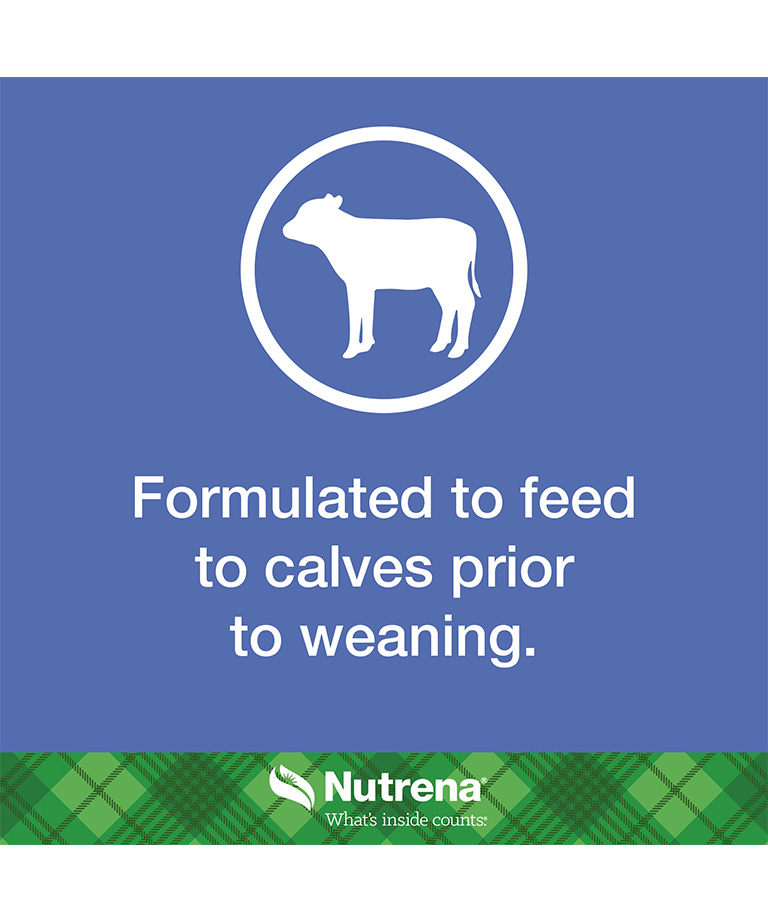 formulated to feed calves before weaning