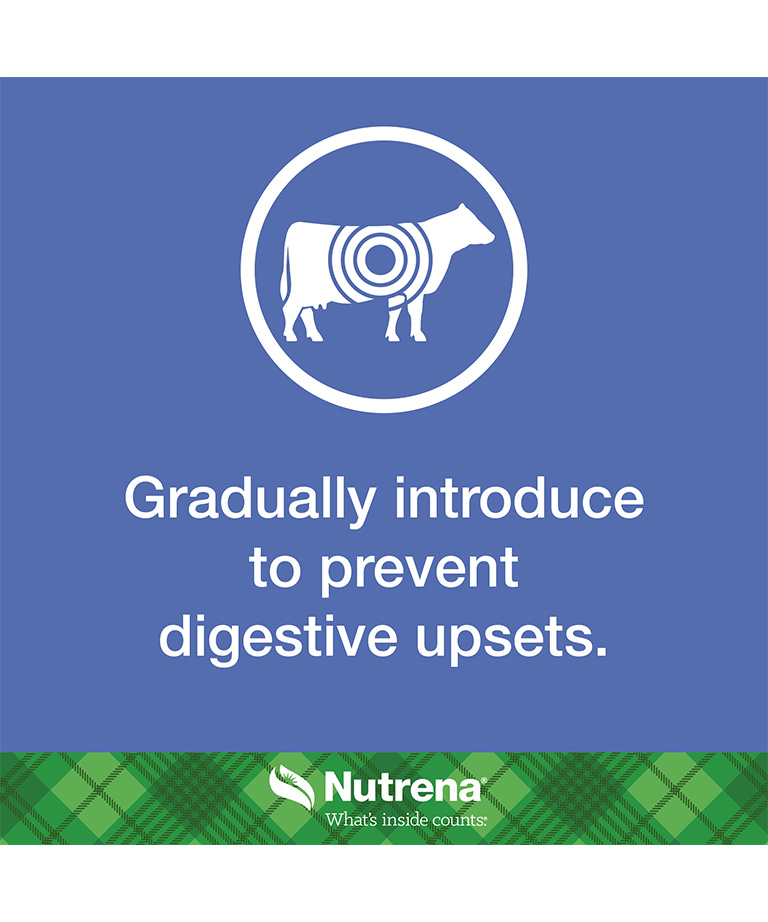 gradually introduce to prevent digestive upset