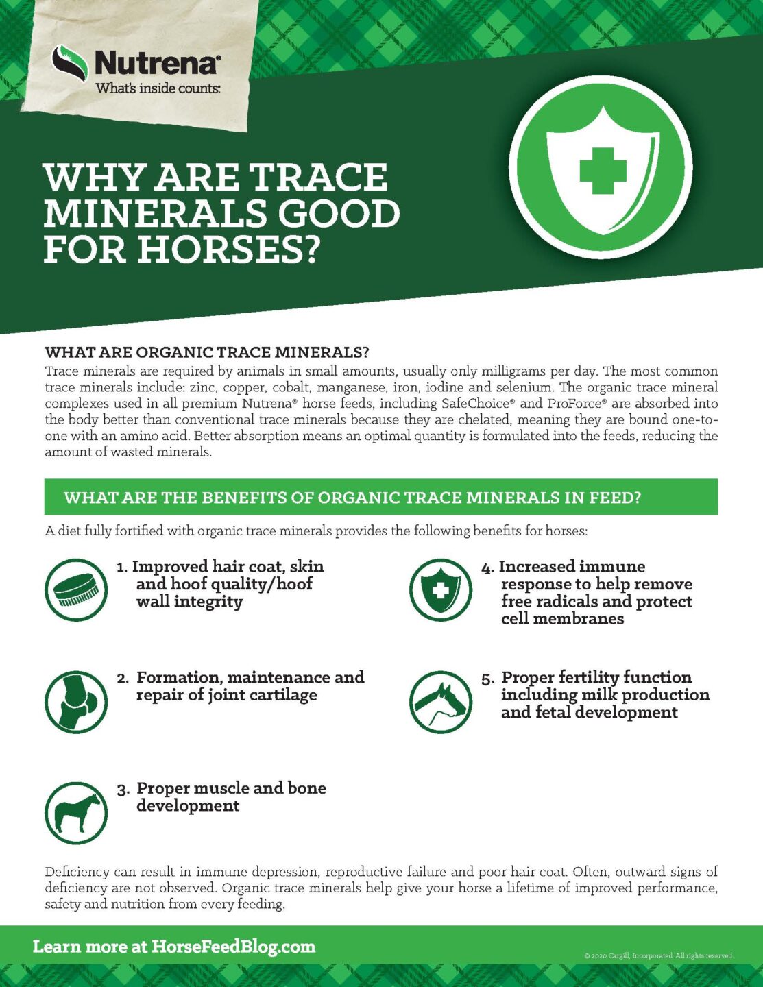 why are trace minerals so good for horses