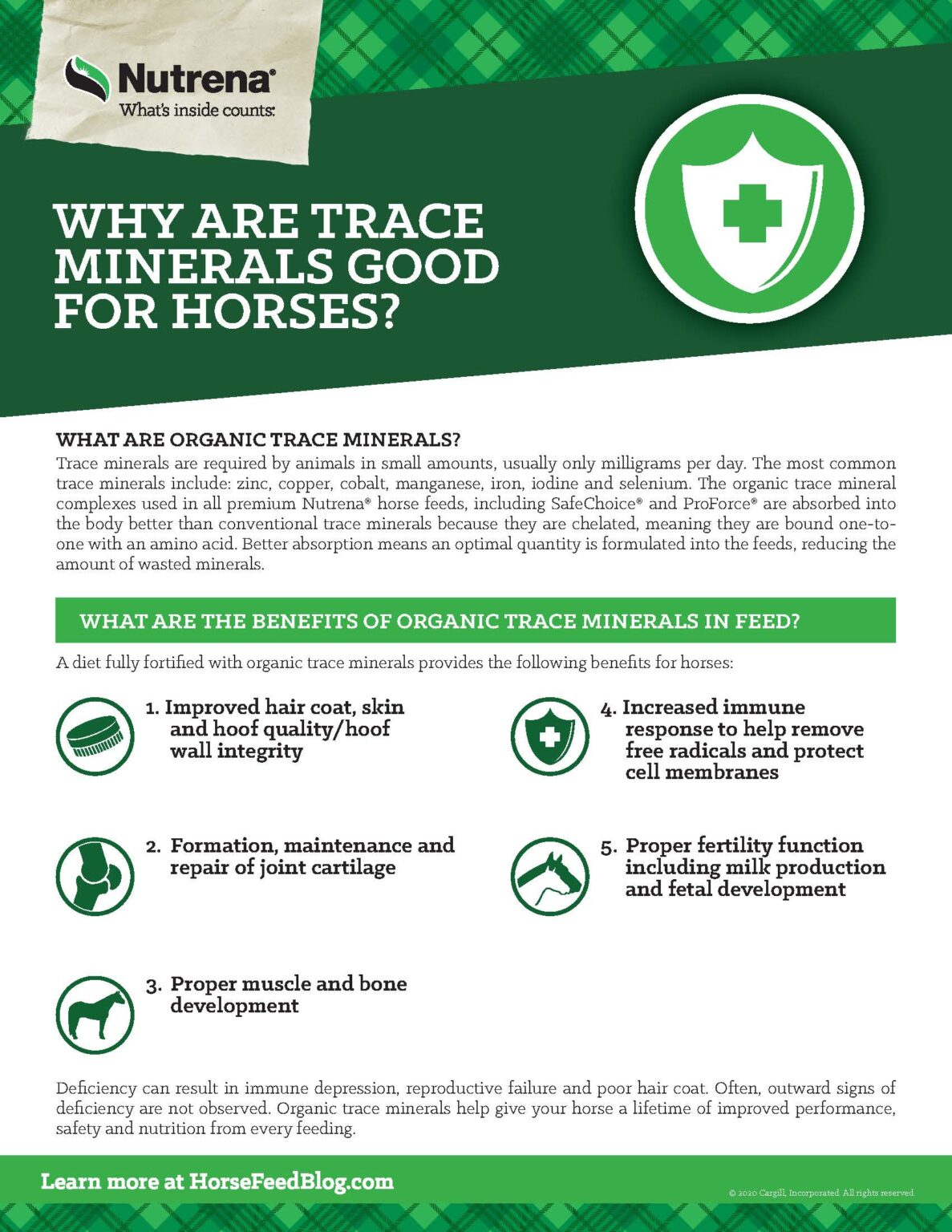 Why Are Trace Minerals Good For Horses why-are-trace-minerals-good-for-horses