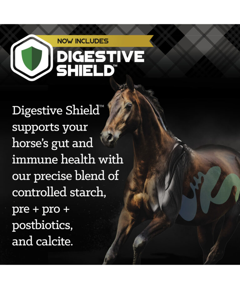 Digestive Shield
