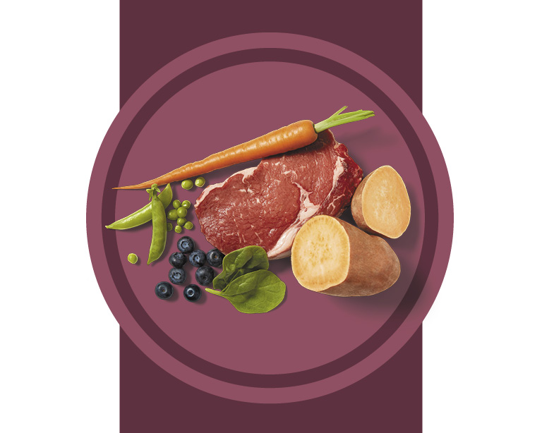 read food beef and barley