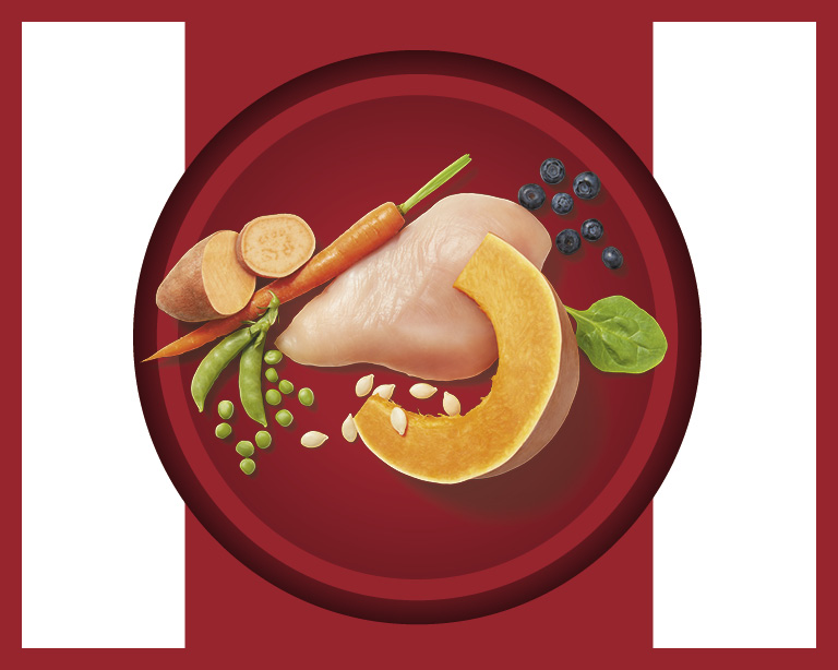 real food ingredients