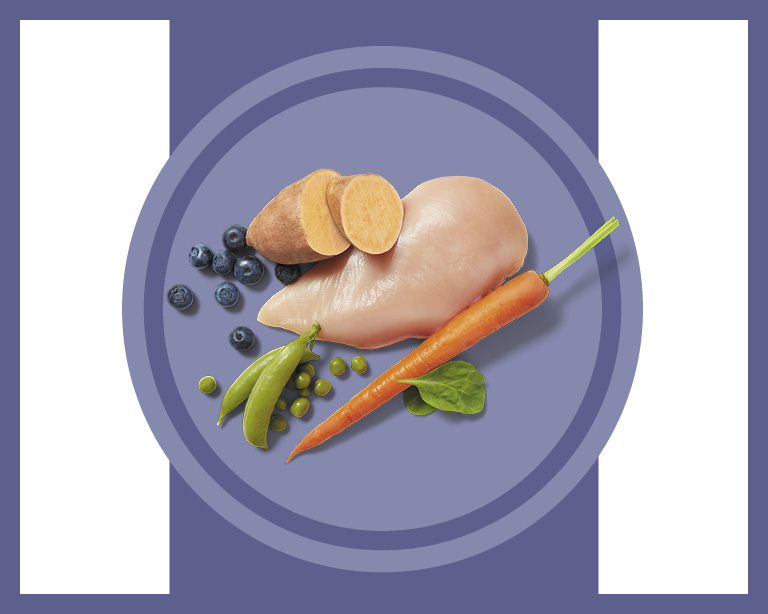 real food ingredients