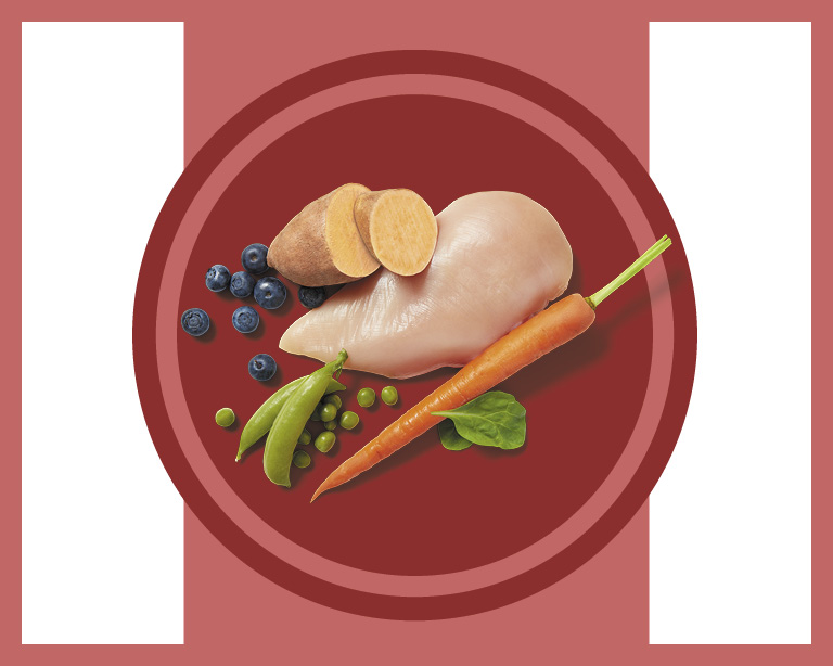 Real Food Ingredients