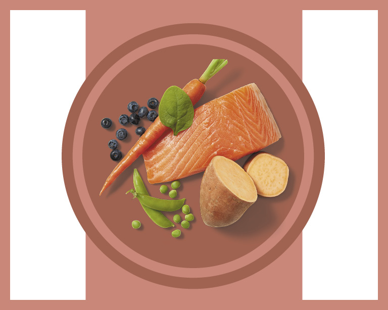 Real Food Ingredients