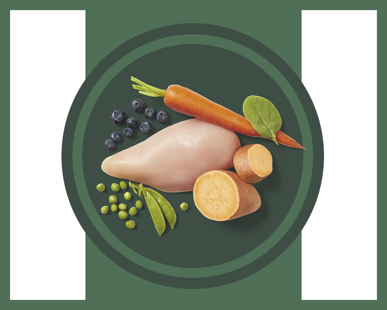 real food ingredients