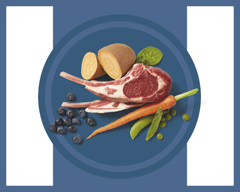 Real Food Ingredients