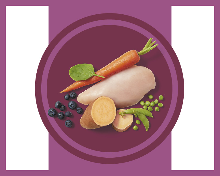 Real Food Ingredients