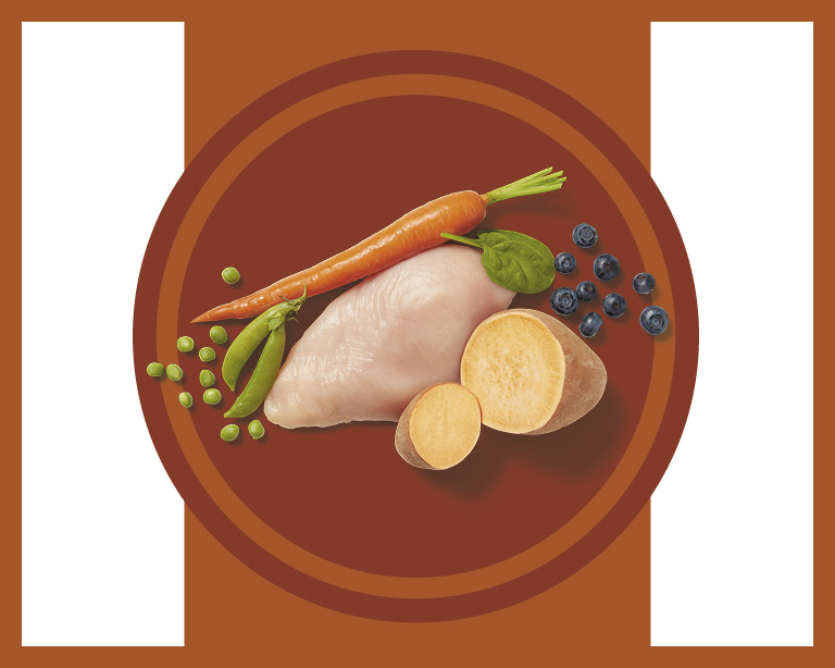 Real Food Ingredients