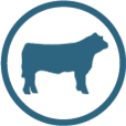 1st ingredient is beef icon