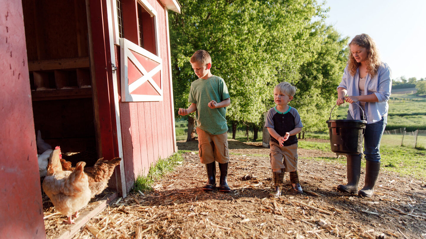 children-chickens-coop