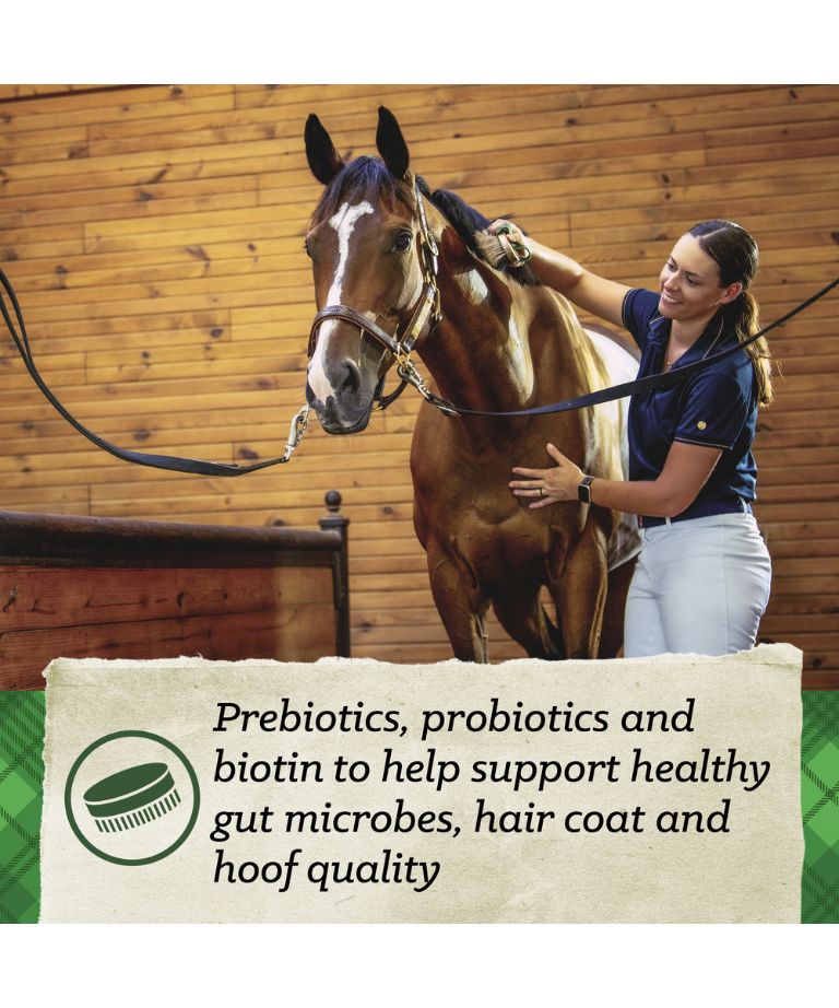 Prebiotics, probiotics and biotin to help support health gut microbes, hair coat and hoof quality