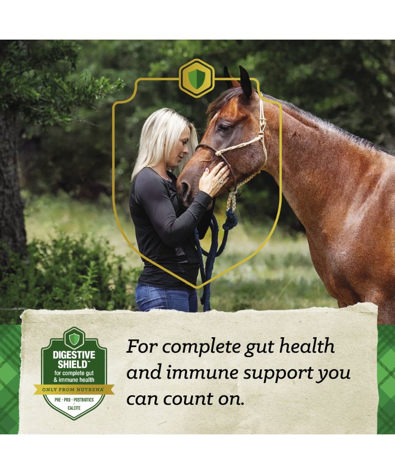 Digestive Shield for complete gut health and immune support you can count on
