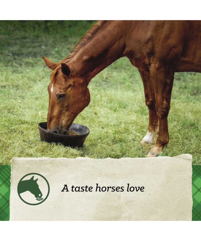 A taste horses love