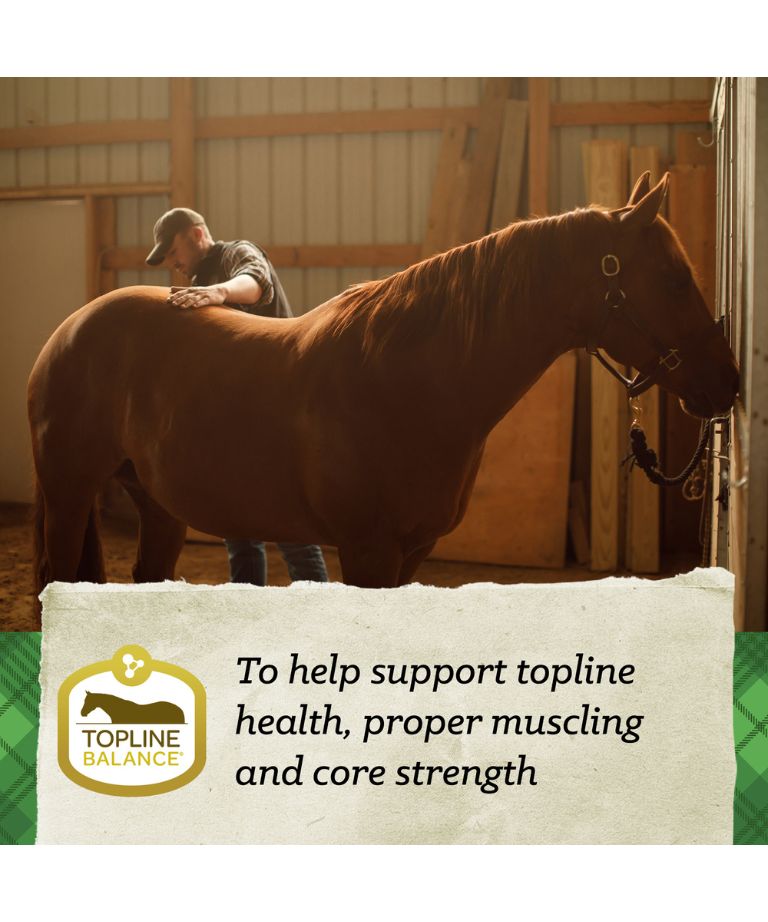 Topline Balance to help support topline health, proper muscling and core strength