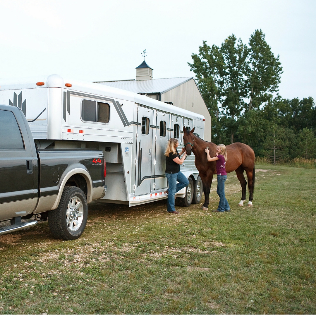 People standing by horse trailer with horse