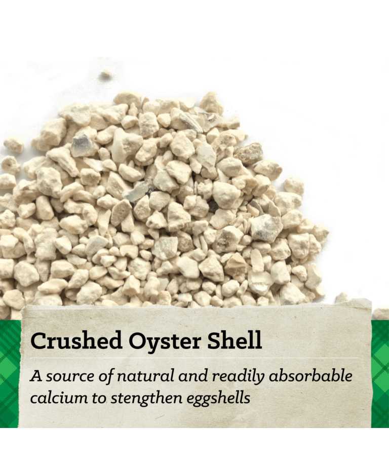 Crushed Oyster shell