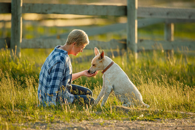 woman-petting-dog