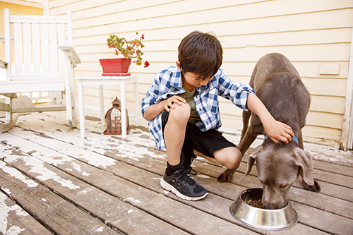 little boy with a dog eating from a bowl