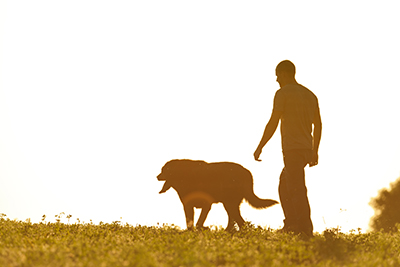 man and dog walking in field