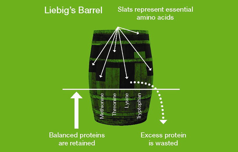 Liebig's barrel graph