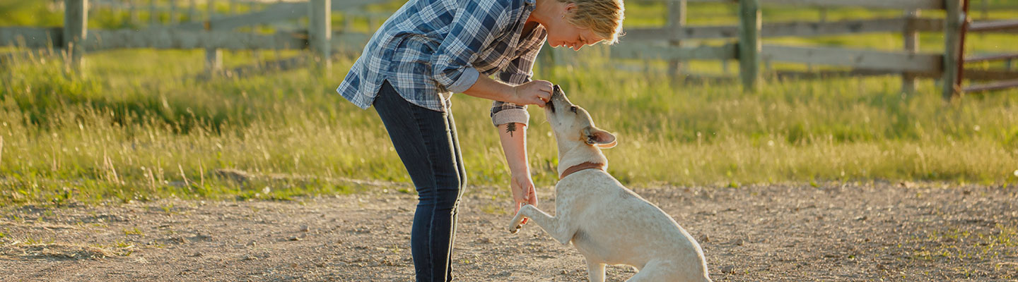 Woman feeding dog treat