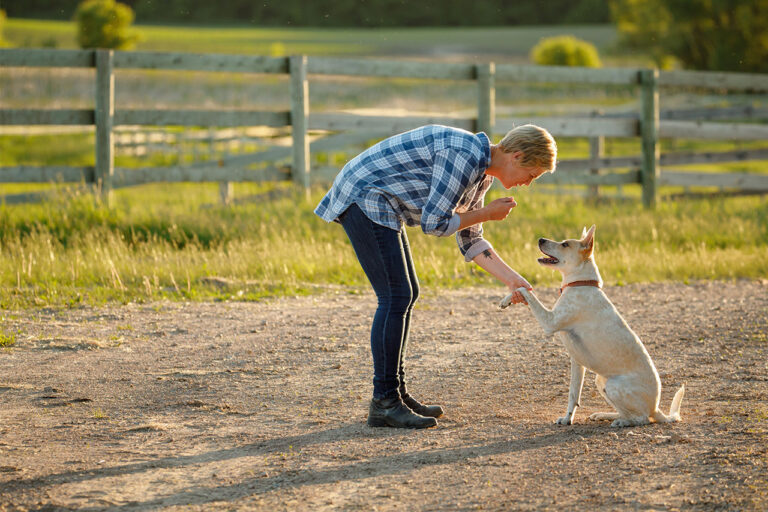 lady training a dog