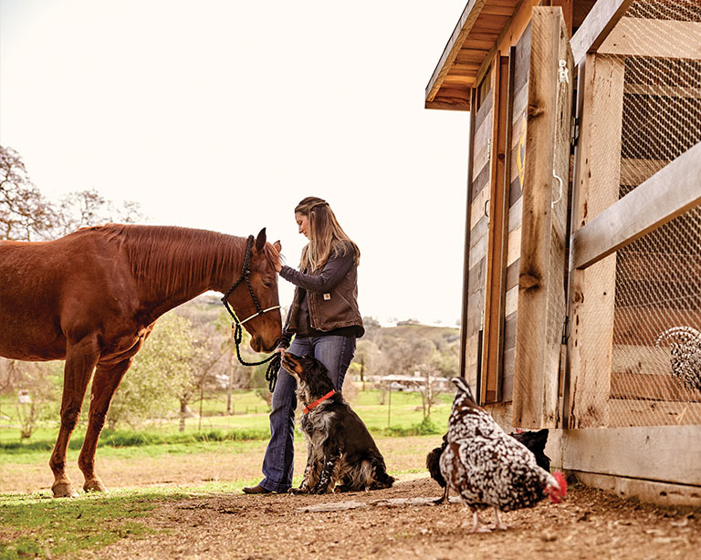 Woman petting horse near barn with dog and chickens
