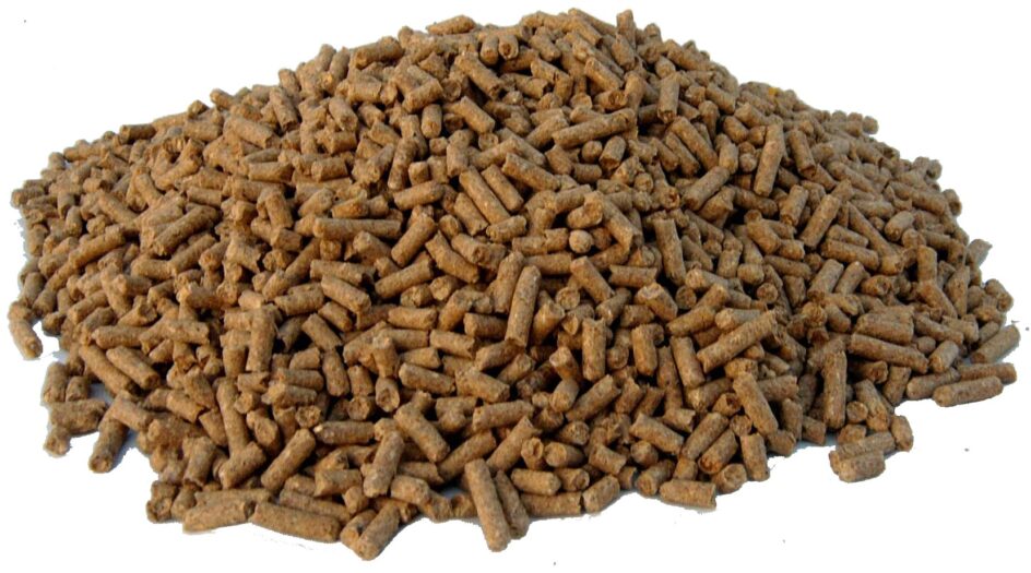 pile of horse feed pellets