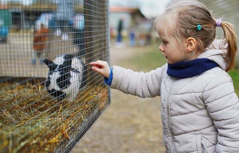 Little girls looking at bunny in cage