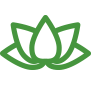 Green flower icon
