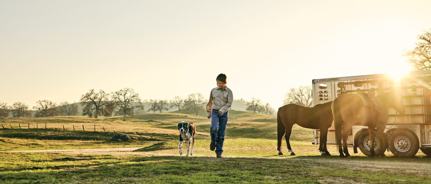 boy-walking-dog-horse