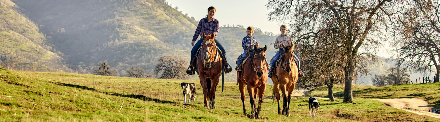 Woman and children riding horses