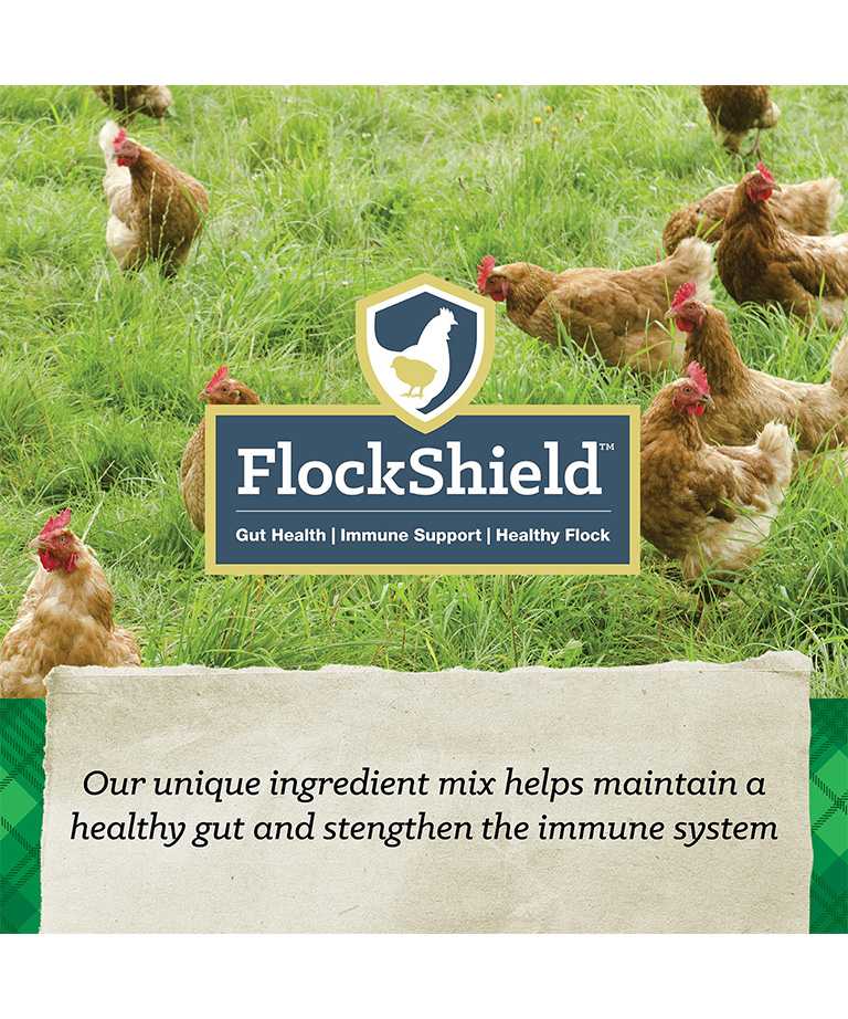 flockshield