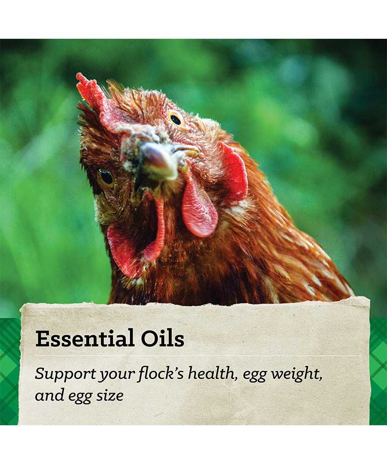 essential oils