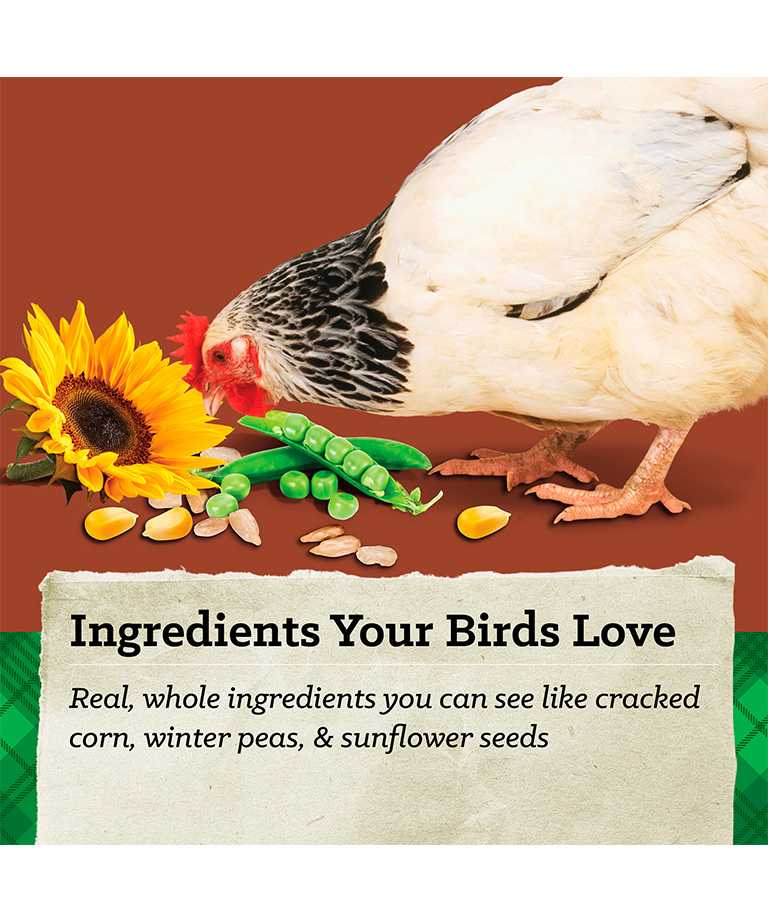 Ingredients Birds Love