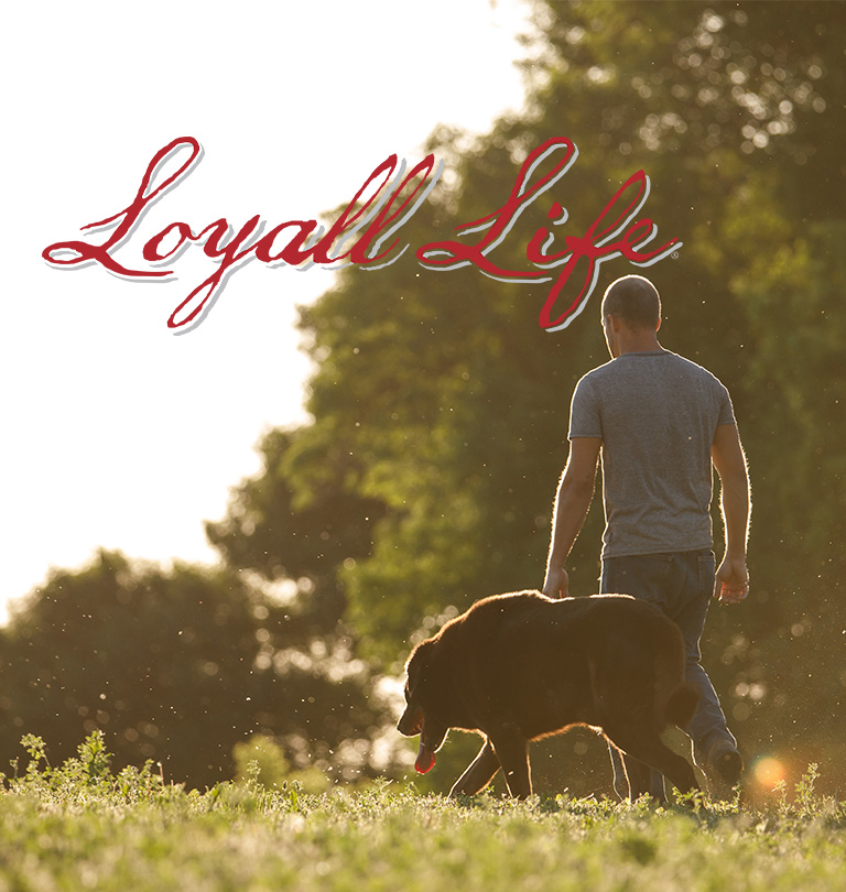 loyall life pet food