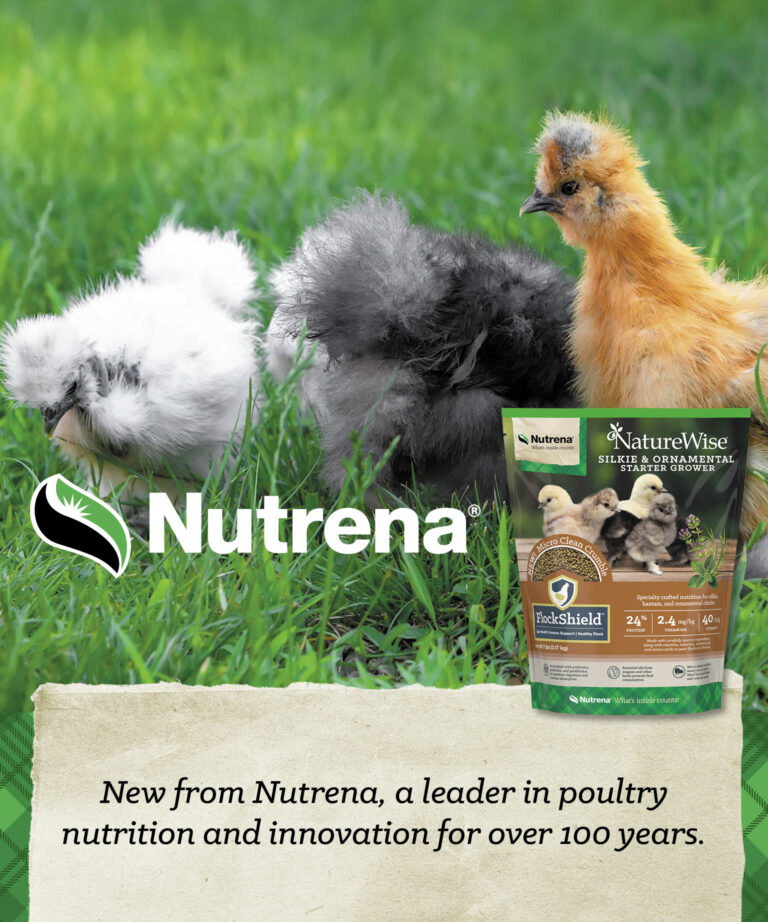 NatureWise Silkie and Ornamental Chick Starter Grower Feed