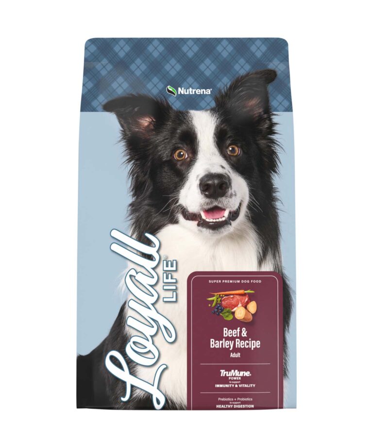 dog beef and barley bag